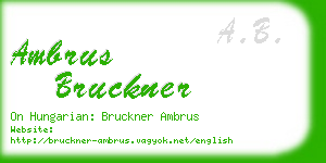 ambrus bruckner business card